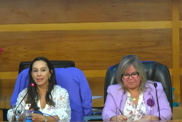 Câmara realiza Evento Alusivo ao Agosto Lilás: Enfrentamento à violência contra a mulher