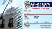 Confira a agenda semanal da Câmara 