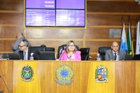 Vereadores debatem melhorias para a segurança em Sessão Ordinária 